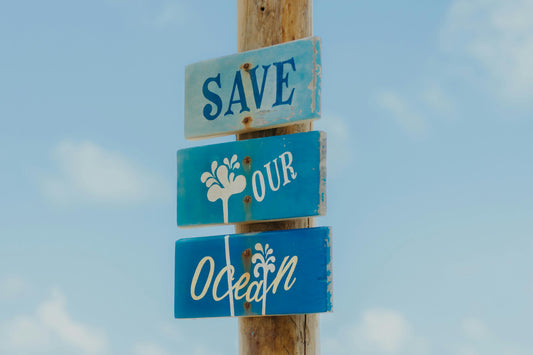 The Power of Green Cleaning: Transform Your Home and Protect the Environment