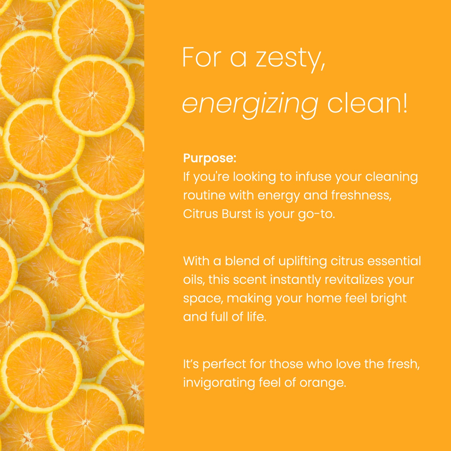 Refill Revolution Ultimate Cleaning Kit - Citrus Burst