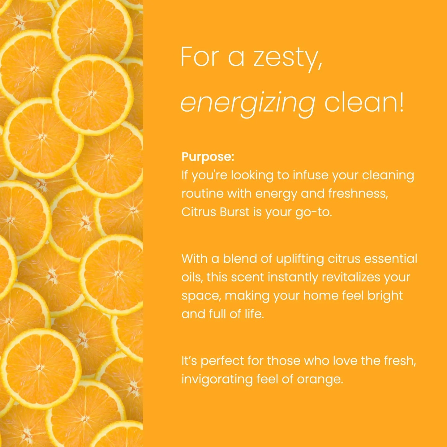 Super Concentrate - Citrus Burst Ecolosophy