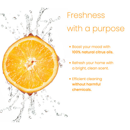 Refill Revolution Ultimate Cleaning Kit - Citrus Burst