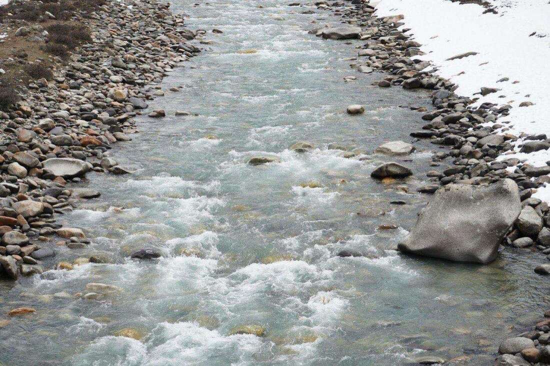 The Non-Toxic Home Checklist: 47 Swaps Every Family Should Make This Year