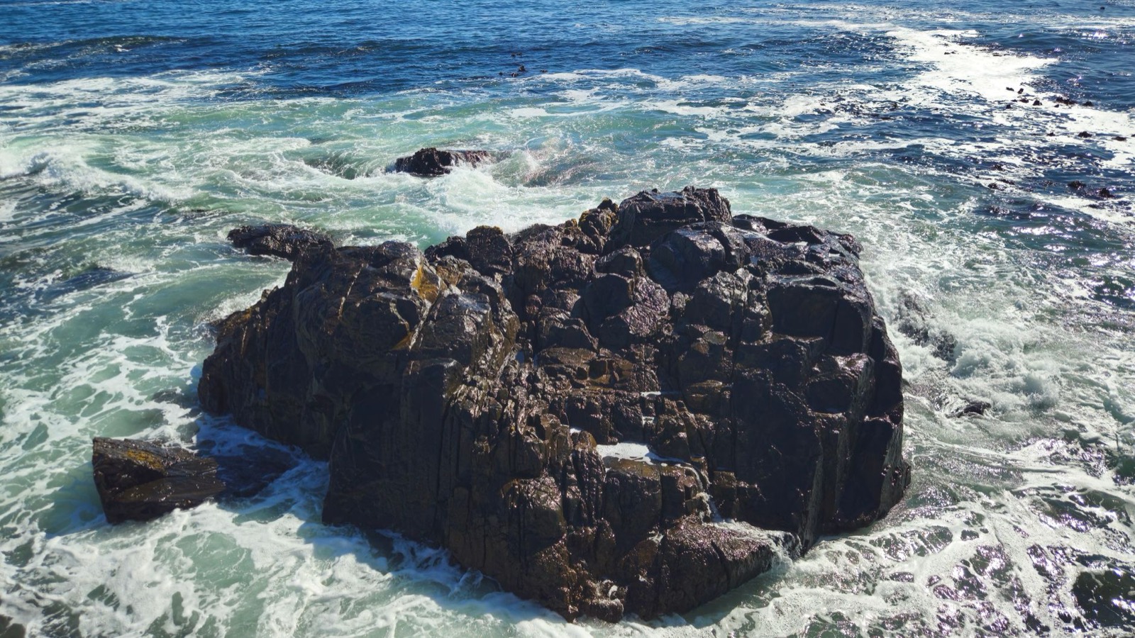 Force of Nature vs. Branch Basics: They Aren't Actually Competitors — The Detox Journal by Ecolosophy