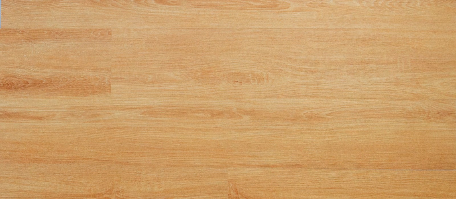 Sealed hardwood floor in soft natural light, the kind of surface a dog naps and walks on all day